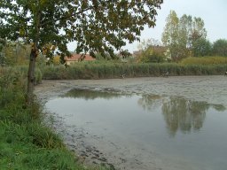 Abfischen 2006